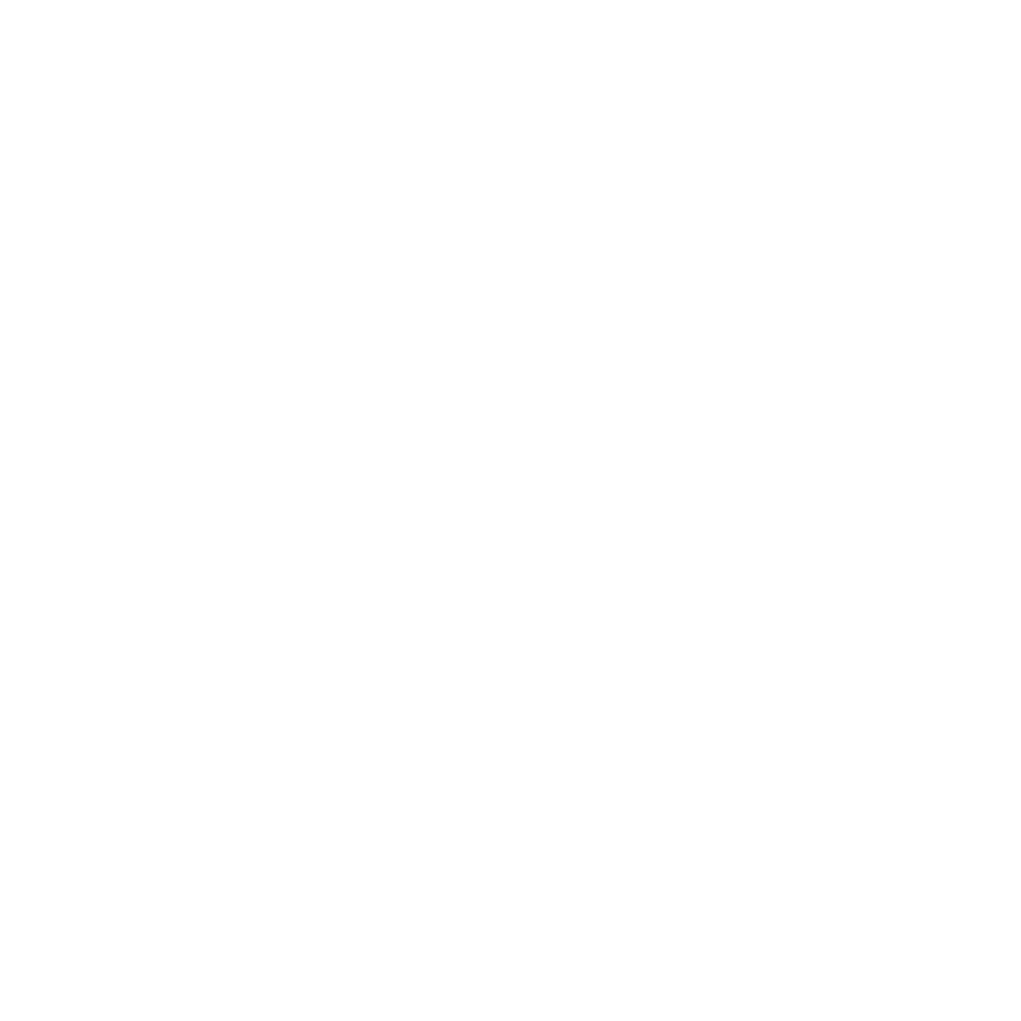 logo NP 11